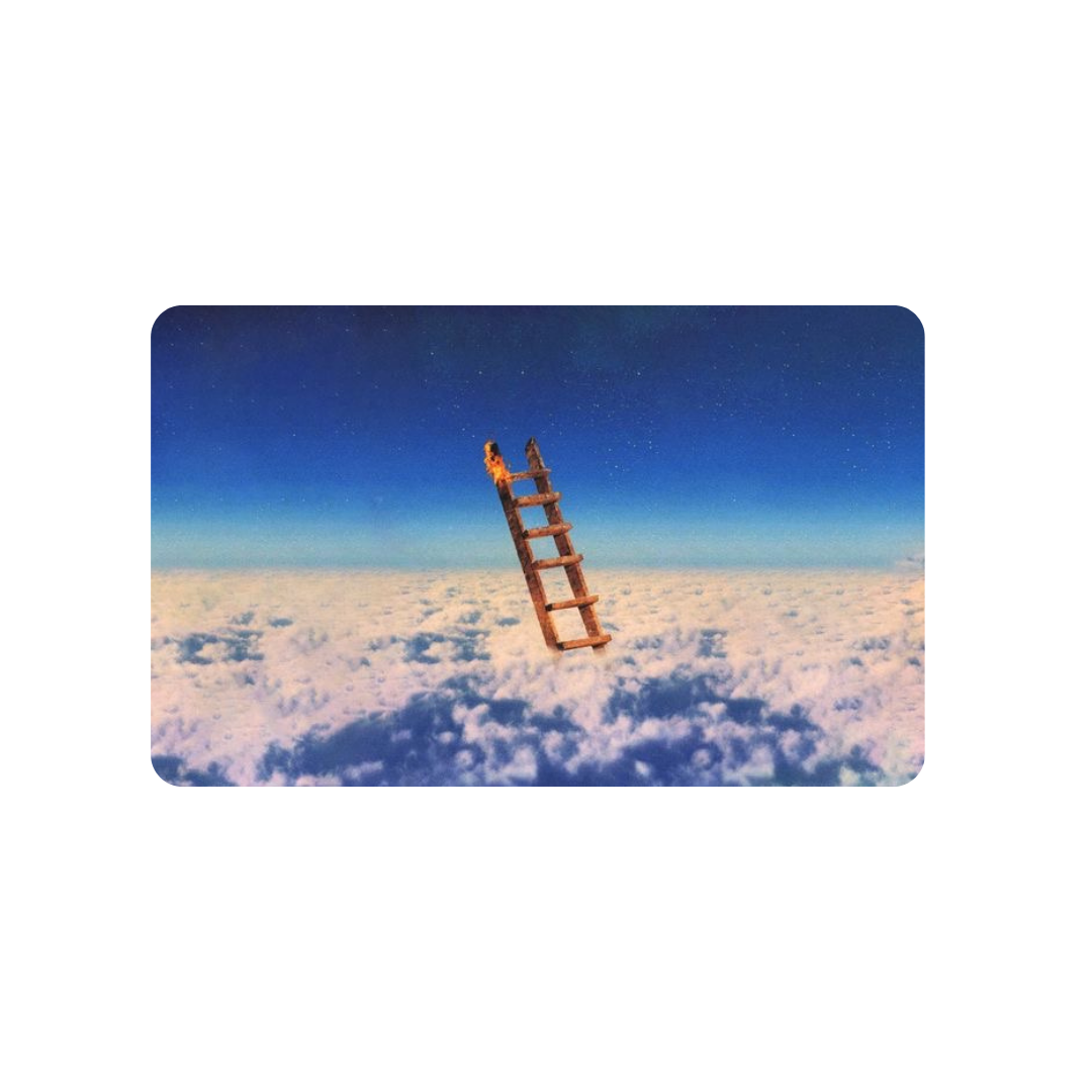 Highest in the Room