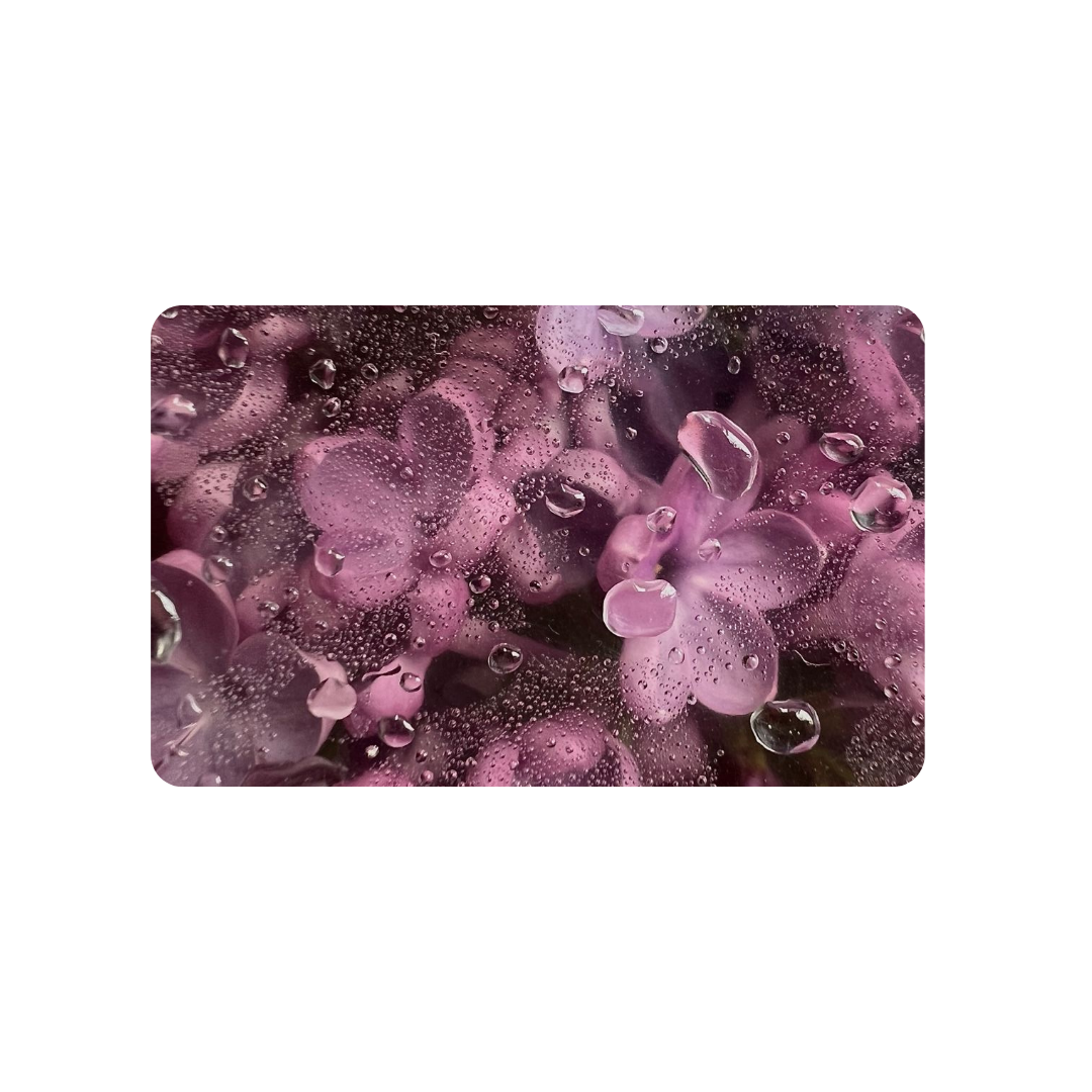 Purple Flowers