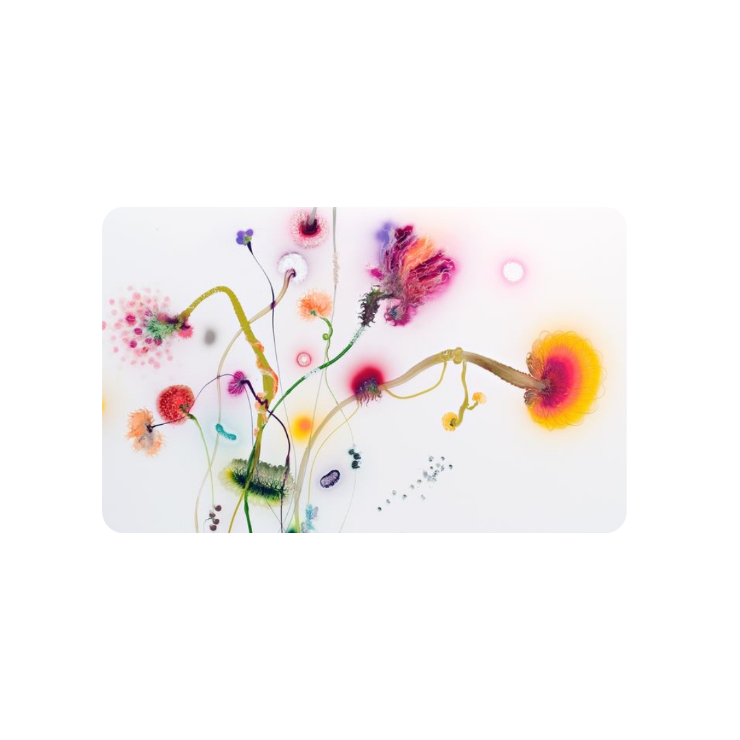 Eco-Friendly Card Covers