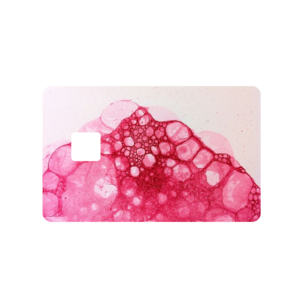 Pink Bubbles
