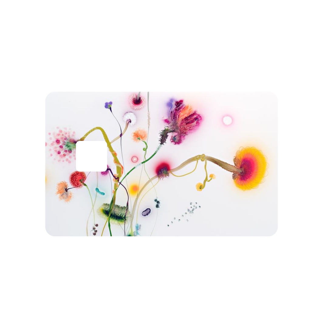 Eco-Friendly Card Covers