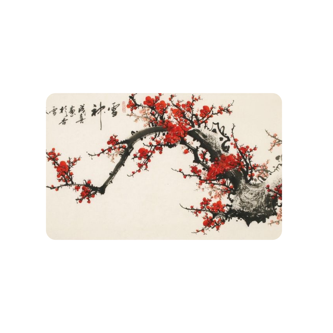 Cherry Blossom