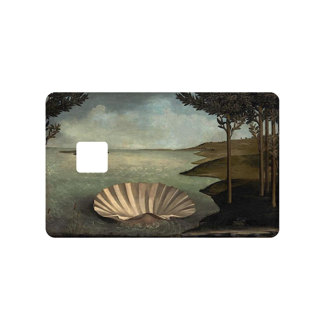 Custom Credit Card Skins