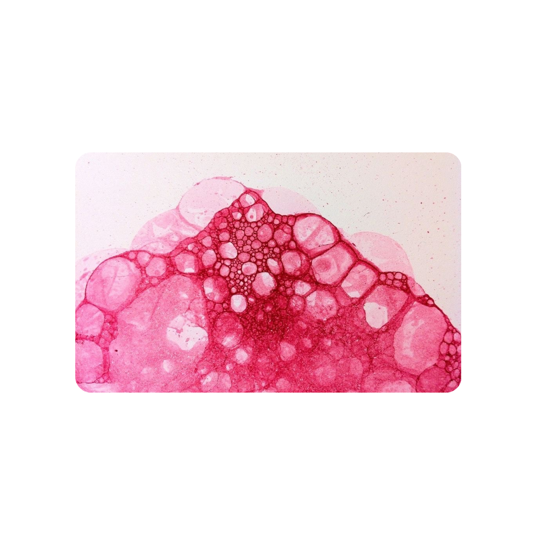 Pink Bubbles