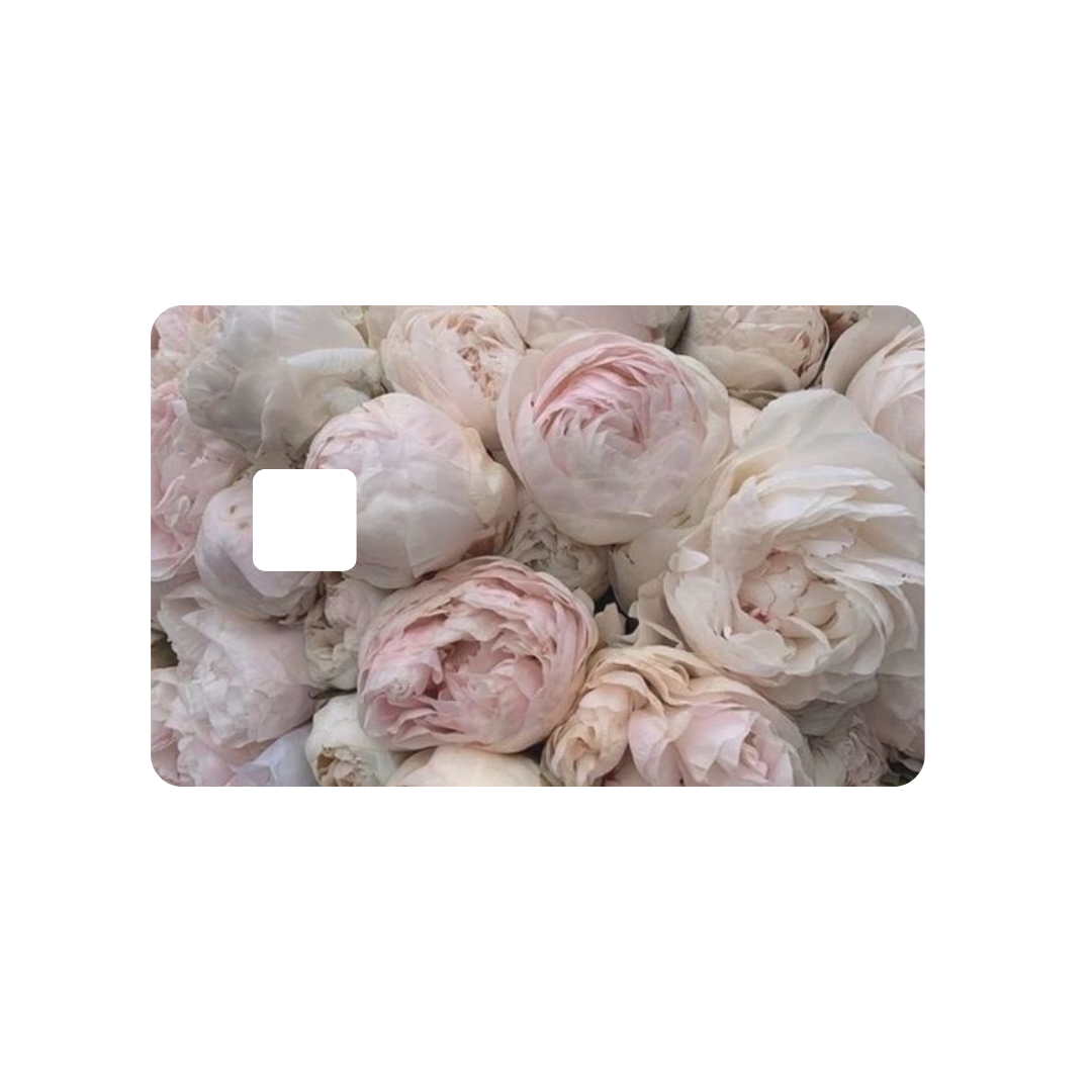 Pink Peonies