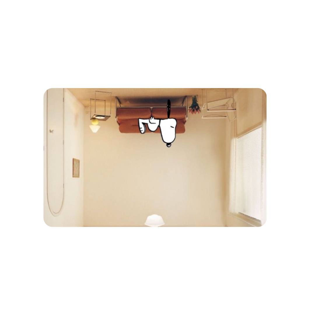 Snoopy in Harry's House Credit Card Skin Cover